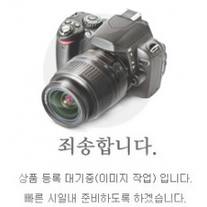 LT160 라이트 Assy (순정)