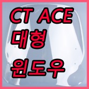 CA 씨티에이스CAE110 범용 윈도우(순흥,대형 520X540)