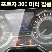 포르자300 메타필름 P6832