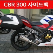 CBR300 사이드백 P4171