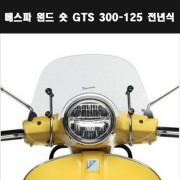 GTS125 GTS300 윈도 베스파 P7932