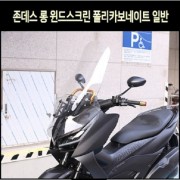 존테스350D ZONTES350D 윈도스크린 롱 폴리카보네이트 일반 P8171